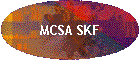 MCSA SKF